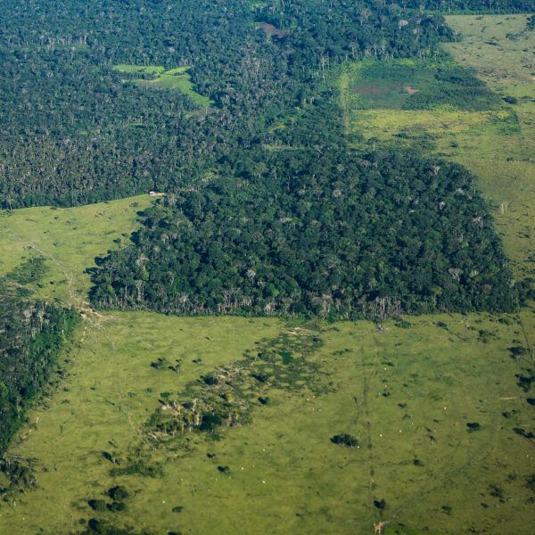 aerial-view-deforestation