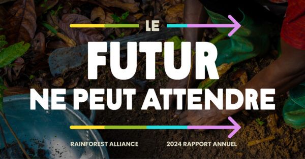 preview image annual report 2024