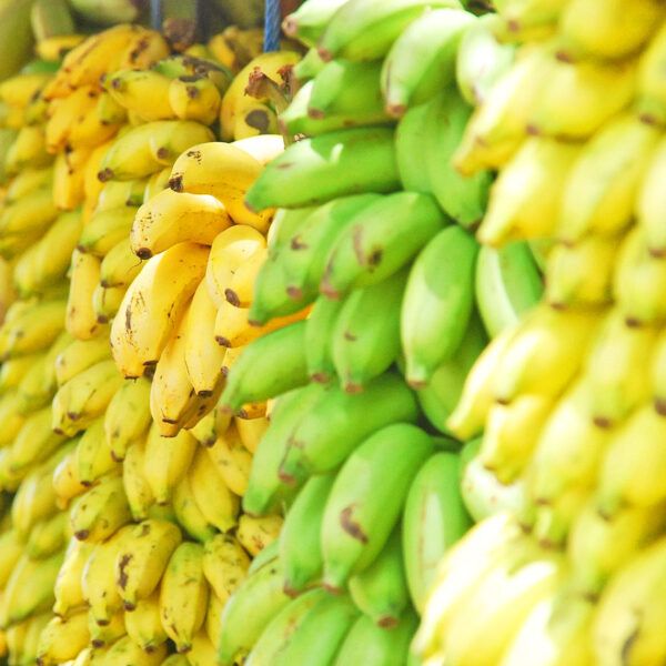 Bananas - header