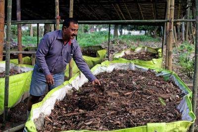 Projeto de agricultura regenerativa