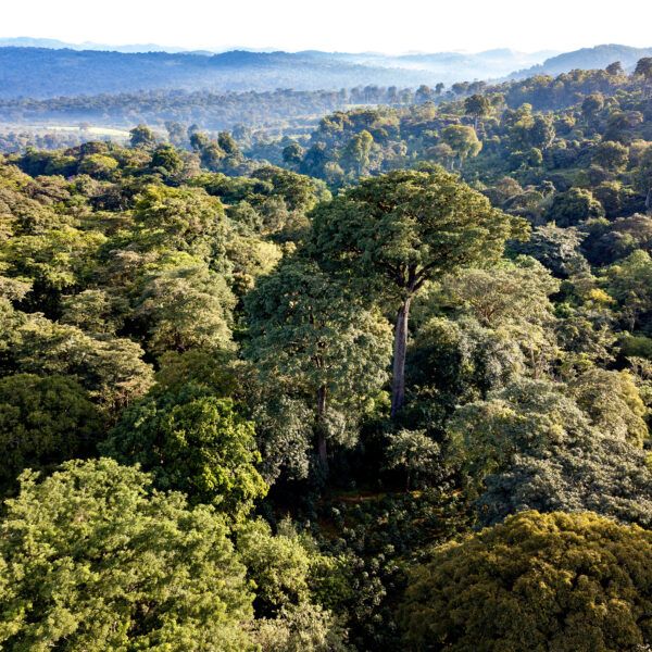 Ethiopia landscape