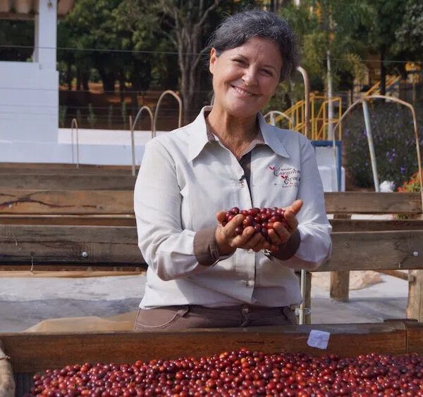 cafeicultora brasileira