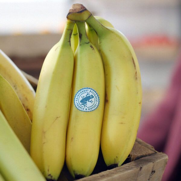 Rainforest Alliance Certified seal on bananas