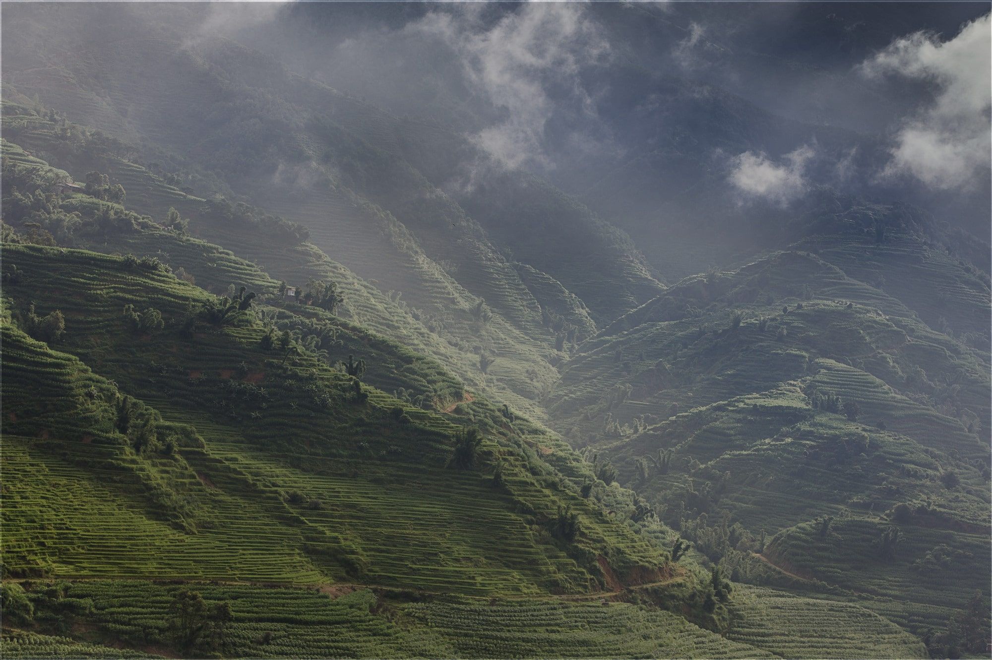Photograph of terraced hills in Yunnan in China
