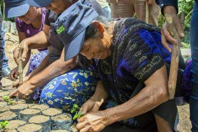 mulheres agricultura regenerativa méxico
