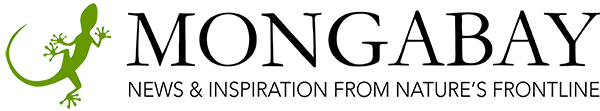 Logo Mongabay